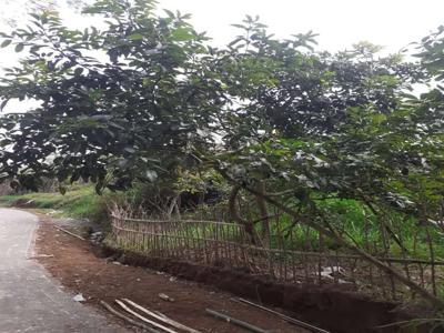 Tanah kebun cocok untuk investasi lokasi lawang