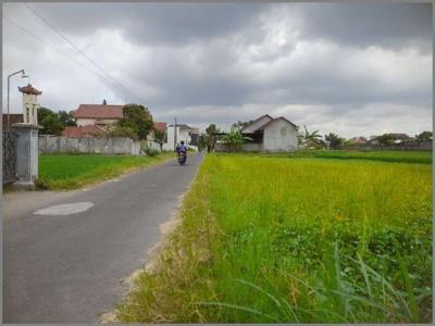 Tanah Murah Purwomartani Dekat Kampus UKRIM Jogja