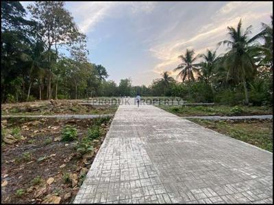 Dijual Murah Tanah Jogja, 2 km Kampus Atma Jaya Wates