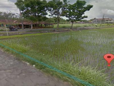 DIJUAL TANAH PEKARANGAN DI SIDOARUM (PINGGIR JALAN UTAMA, L : 290 M2)