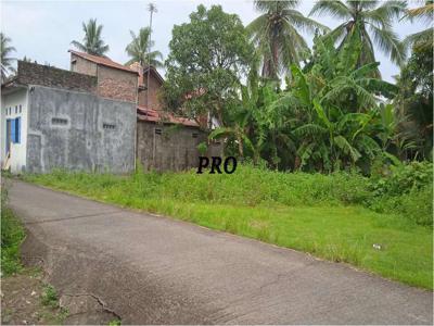 Dijual Tanah Pengasih Kulon Progo, Dekat Kampus UAD 6, SHM