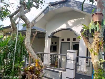 Dikontrakkan Bukit Cemara Tidar 20 jt nego