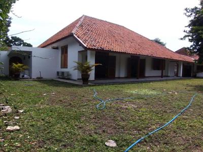 Rumah Dengan Halaman Terbuka Luas Di Kotabaru Yogyakarta