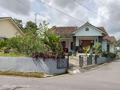 Rumah di Jakal km 10,9 Dusun bulusan Sardono harjo ngaglik, sleman