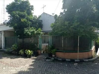 Rumah Di Simpang Darmo Permai Utara harga 1 M - an