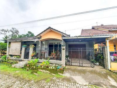 Rumah mewah dengan Tanah dan halaman yang sangat luas di Losari sleman