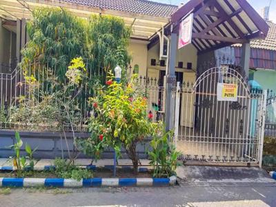 Rumah Tengah Kota Sidoarjo Wisma Sarinadi Jl Renang 17, 61212