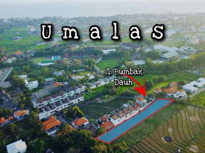 Sebidang tanah komersil di kawasan Umalas Bali