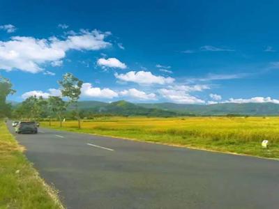 Siap AJB, Tanah View Cantik di Kulonprogo Selangkah Kopi Ampirono