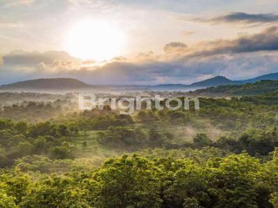 TANAH DENGAN PEMANDANGAN SPEKTAKULER DI BULELENG