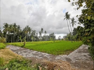 Tanah di lod Tunduh Ubud, Gianyar