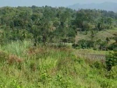 Tanah / Kavling Industri di Kabupaten Garut, Cocok untuk Pabrik / Industri, UMR 2jt-an