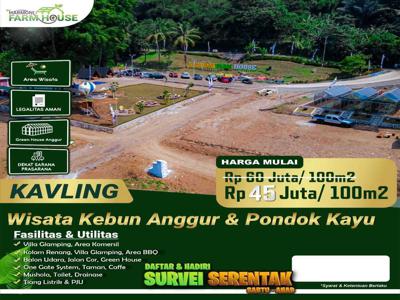 TANAH KEBUN MURAH FREE SHM