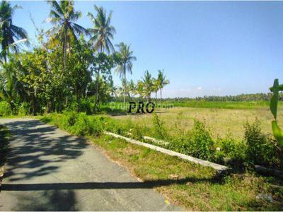 Tanah Kulon Progo Dekat Balai Desa Tawangsari, Cocok Hunian