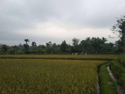 TANAH SAWAH BUAT PERUMAHAN CLUSTER DI CISAAT SUKABUMI