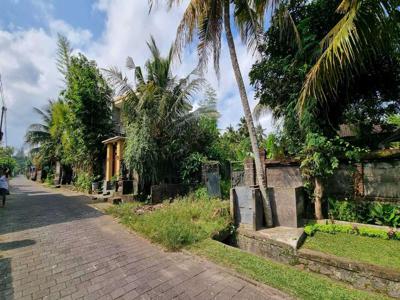 Tanah Ubud Lodtunduh Pemandangan Sawah