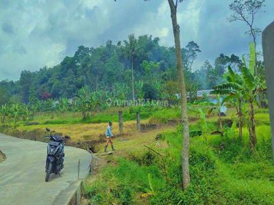 Tanahdi kawasan wisata puncak Bogor luas 500m²