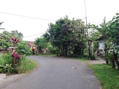 Utara Pasar Balecatur Tanah Kavling Jogja Dijual Murah 5 Menit UMY