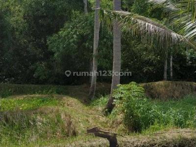Tanah los sungai unblock view cocok vila di ubud
