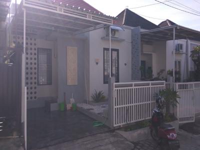 Dijual Rumah Minimalis Siap Huni di jl Palm, Kuta Bali
