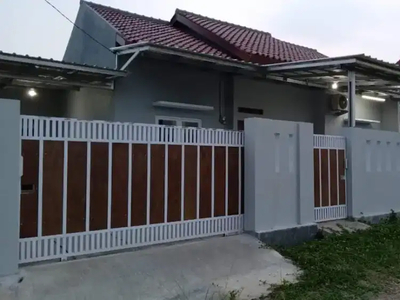 Rumah kampung luas 1600 m2 deket jalan raya belakang KONI karundang