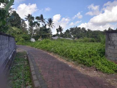 Jual Tanah Kavling di Badung Bali, Desa Baha