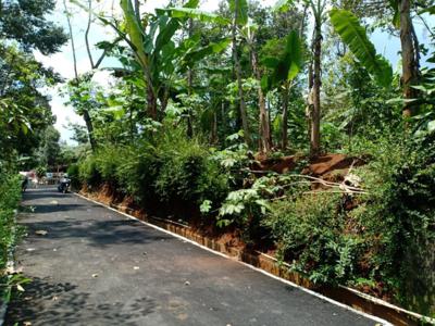 Kebun Durian Hanya 160jt Mojogedang Karanganyar