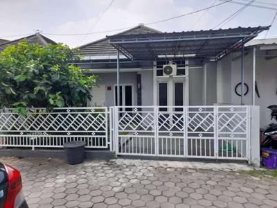 Di sewakan rumah minimalis plus furnish dijlkabupaten dkt jambon resto