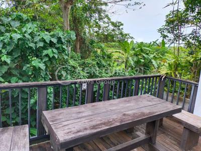 Dijual Villa Cantik View Sawah Dan Loss Sungai Lokasi Canggu Bali