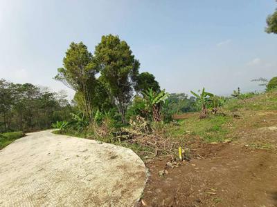 Jual Tanah Daerah Cipageran: Bisa Dicicil 12X Tanpa Bunga