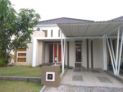 Disewakan Rumah Rafflesia Graha Padma Semarang Barat