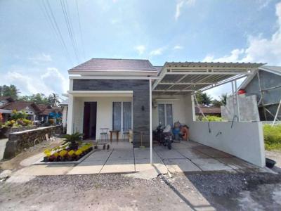 Rumah Modern Dekat Jl Magelang Luas Tanah 131 Sleman