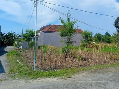 Tanah di Pedurungan Kota Semarang Dekat Kampus Biru AMNI SHM