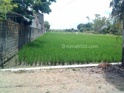 Dijual Pekarangan Termurah Klaten, Kawasan Exit Toll, 1 Jt an