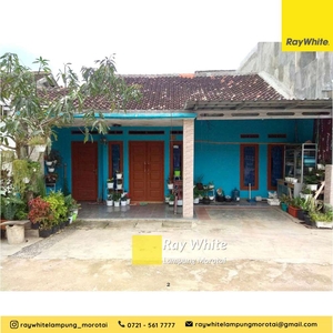 Dijual Rumah di Komarudin, Natar Lampung Selatan (kode: mey979)