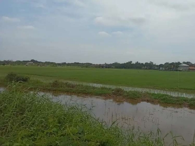 Dijual sawah luas 2 hektar ( 20.000 m )