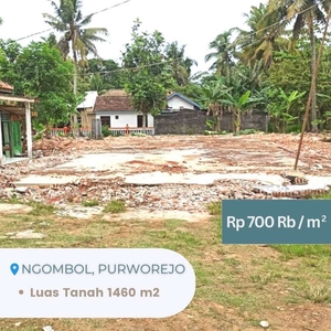 Dijual Tanah 300 Meter Dari Balai Desa Mendiro Tepi Jalan Raya