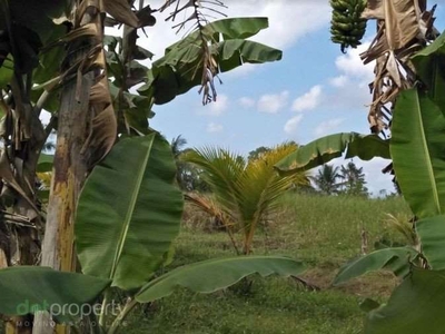 DIJUAL TANAH BATUKARU DENBATAS TABANAN, BALI