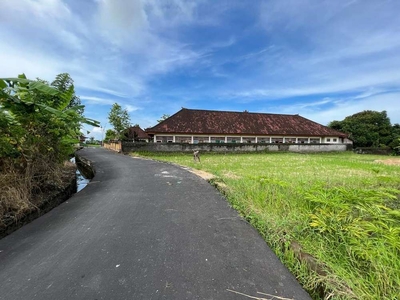 Dijual tanah di cemagi canggu