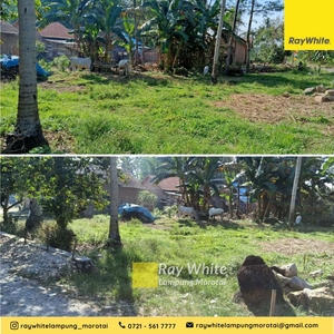 Dijual Tanah di Desa Gedung Harapan, Jati Agung, Lamsel (kode: yoniz42