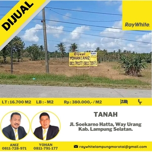 Dijual Tanah di Way Urang, Lampung Selatan (kode: yoniz8)