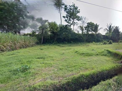 Dijual Tanah Poros Jalan Tajinan Malang Cocok Untuk Usaha