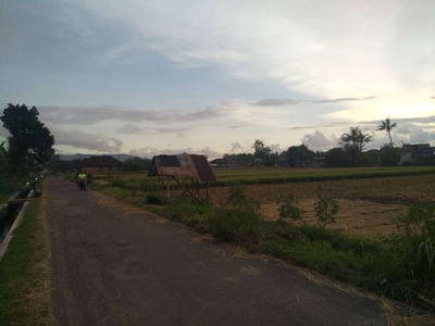 Dijual Tanah Sawah Utara Pondok Pesantren MTS dan MA Ibnul Qoyyim Putr