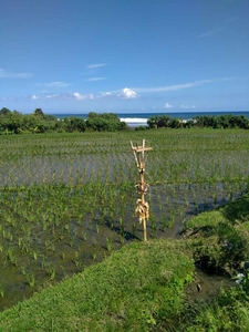 DiSewakan Tanah Global Pantai Pasut Kerambitan Tabanan Bali