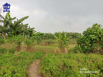 Jual Cepat Tanah Lahan Murah Siap Bangun Luas 1,6 Hektar Di Teluk Pucu