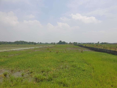 JUAL TANAH 1,4 Ha di Wringin anom gresik