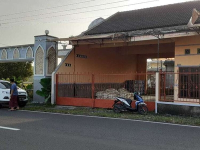 JUAL TANAH KULON PROGO DI SENTOLO BONUS RUMAH JALAN UTAMA