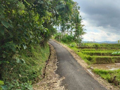 Jual Tanah Murah di Jogja Nanggulan, 600 Ribuan