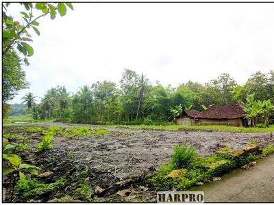 Jual Tanah Murah Kulon Progo, Berada di Kawasan Industri Sentolo