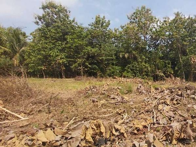 Kaveling Bagus Jogja Di Kawasan Berkembang Kulon Progo Lingkungan Asri